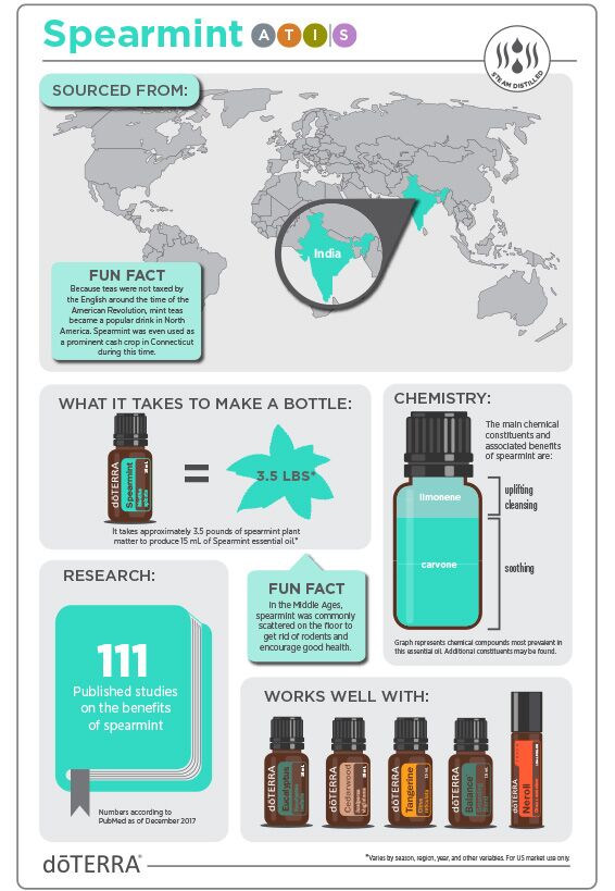 doTERRA Сладка Мента Spearmint 15 мл. 3 doTERRA Сладка Мента Spearmint 15 мл.
